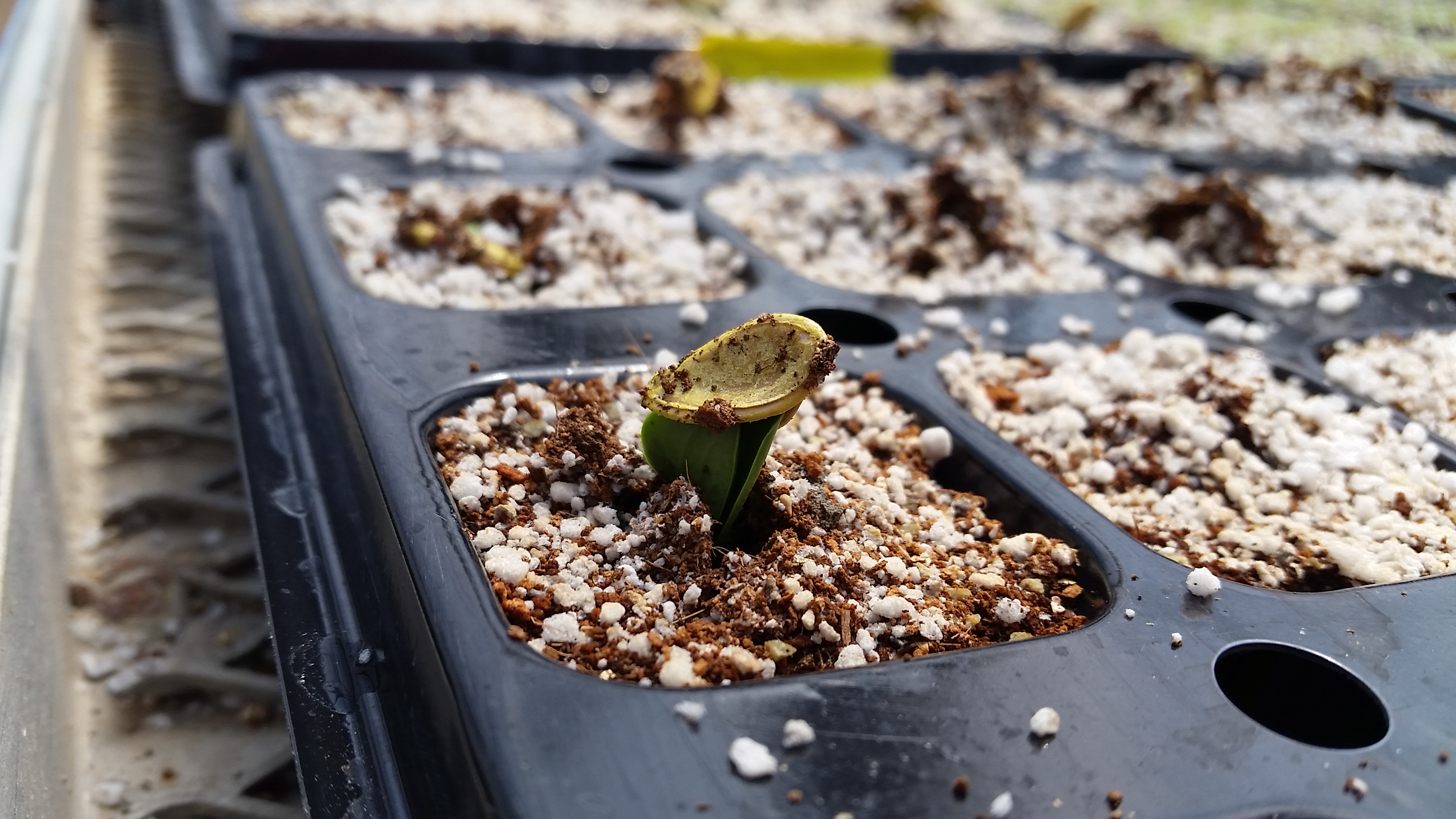 봄의 틈에서 기지개를 켜다