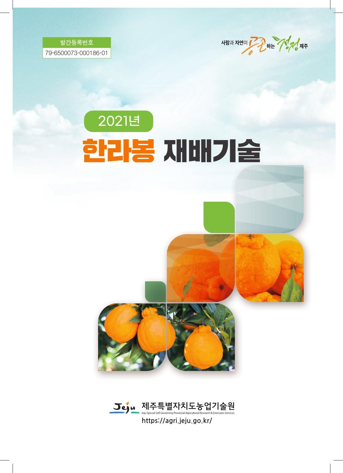 2021 한라봉 재배기술