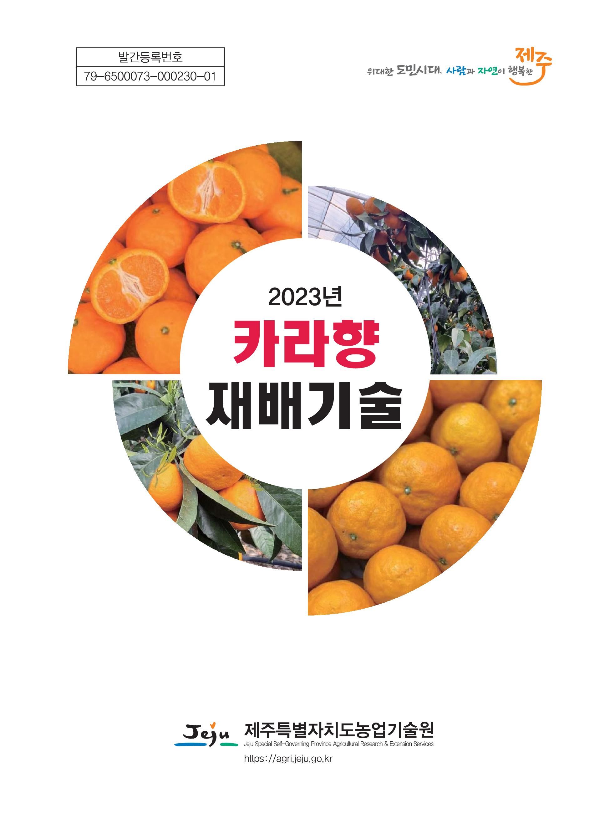 2023 카라향 재배기술