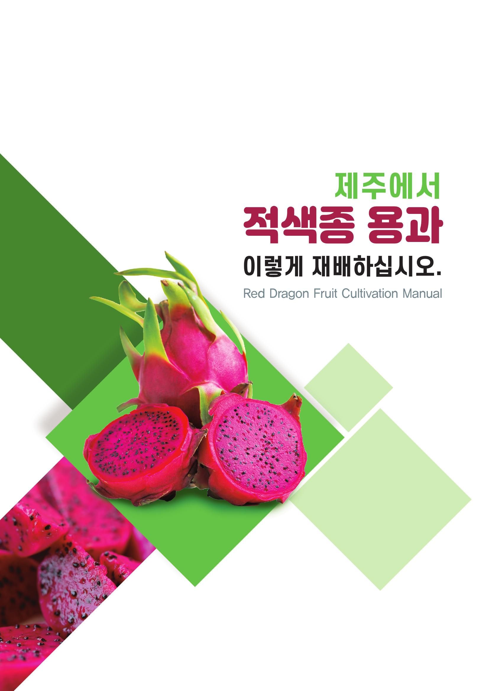 적색종 용과 재배 매뉴얼