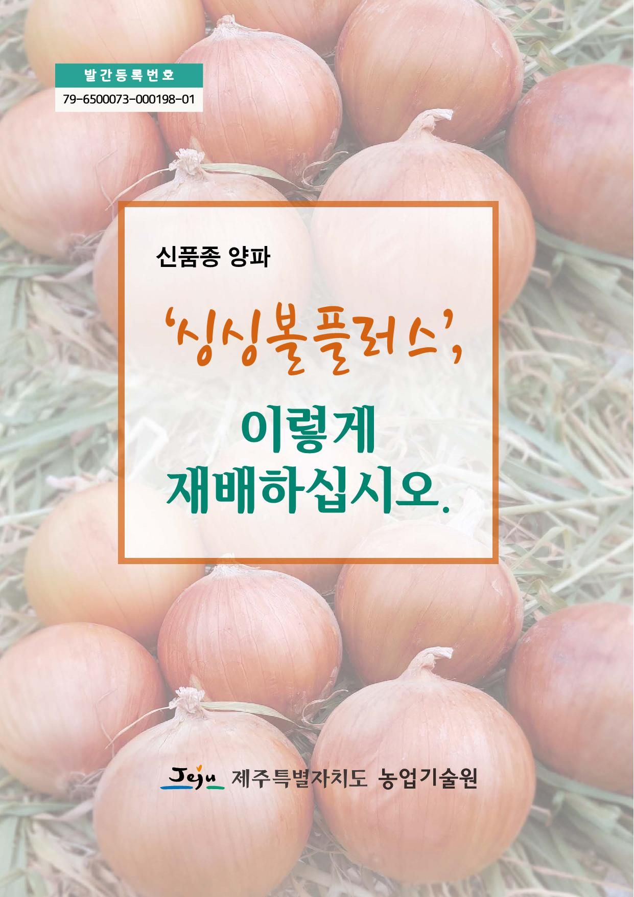 양파(싱싱볼플러스)